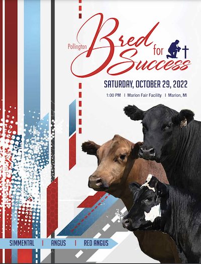 bred for success sale