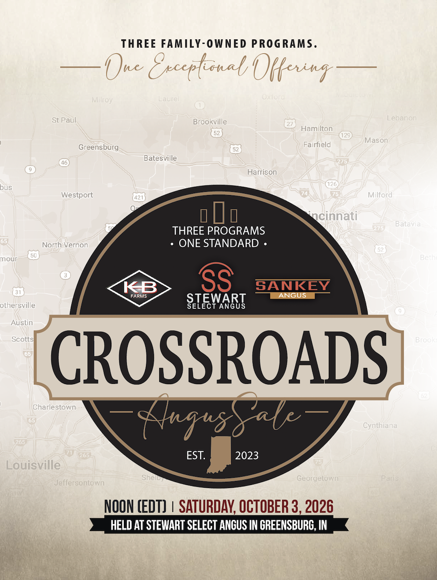 Crossroads Angus Sales 2026 Catalog Crossroads Angus Sale Catalog