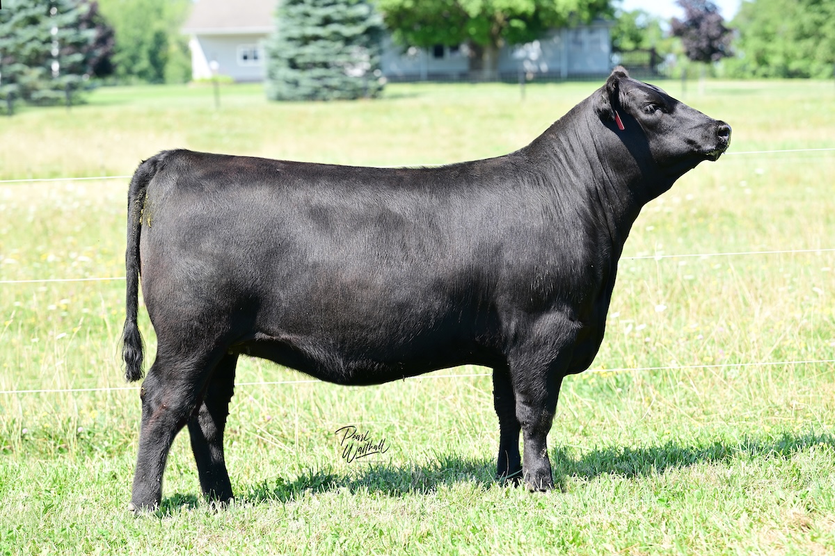 KB-Ruth of 3048 N47